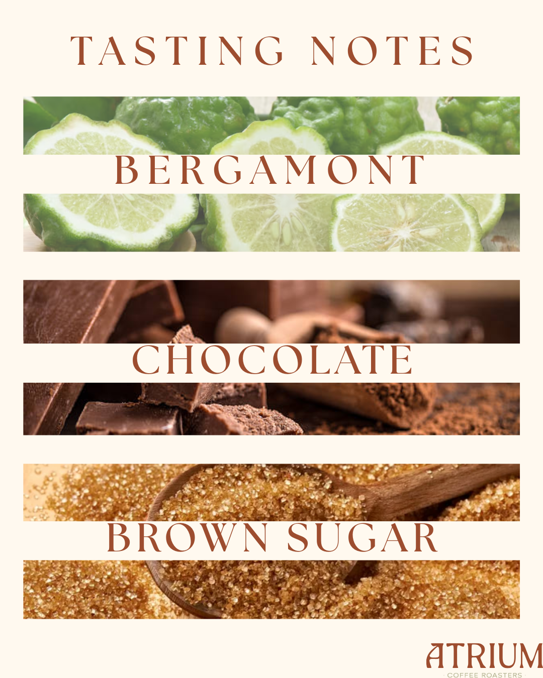 Premium Espresso Blend 12oz (340g) - Image 2