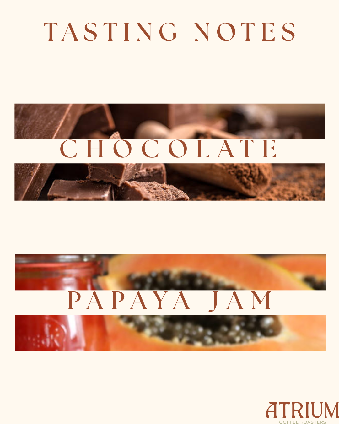 Colombia Manos de Mujeres 12oz (340g) - Image 2